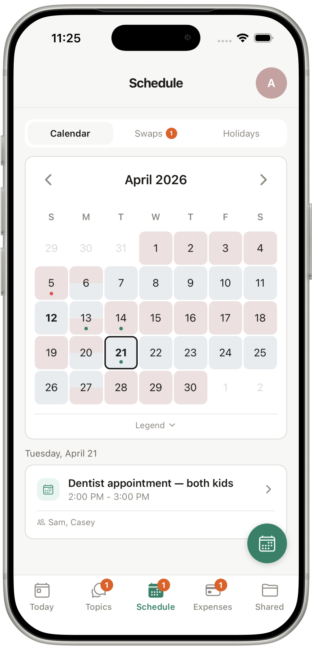 Schedule view with custody calendar